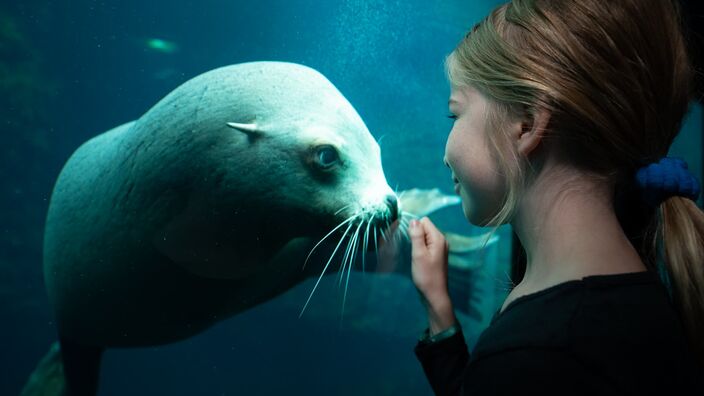 Le plus grand aquarium d'Europe : Nausicaá, à Boulogne-sur-Mer, dans le Pas-de-Calais