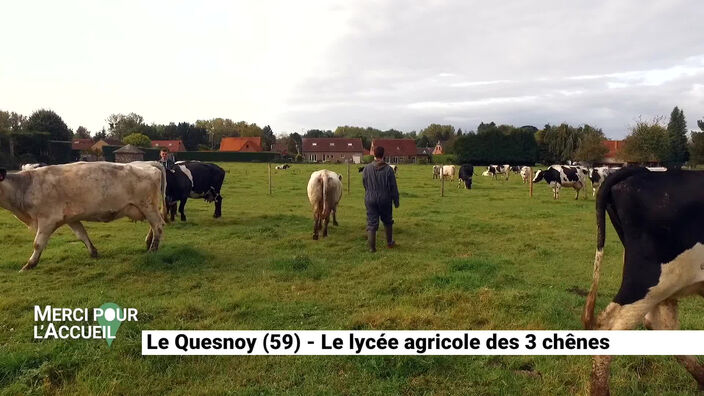 Merci pour l'accueil: Le Quesnoy: Son lycée agricole des 3 chênes