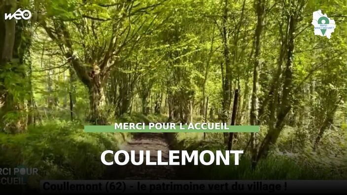 Coullemont (62) - le patrimoine vert du village !