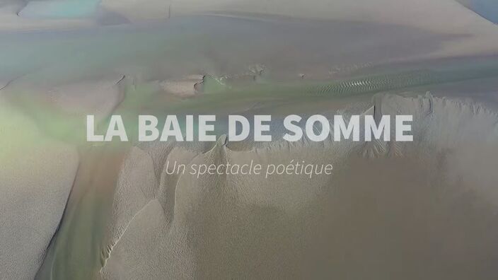 Une très belle vidéo de la Baie de Somme primée au Wonder France Festival