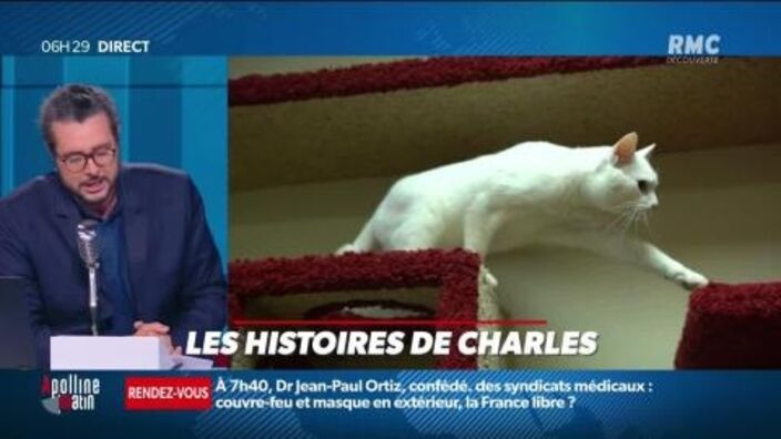 «Les histoires de Charles Magnien » : Les animaux pronostiqueurs pour l'Euro - 17/06 
