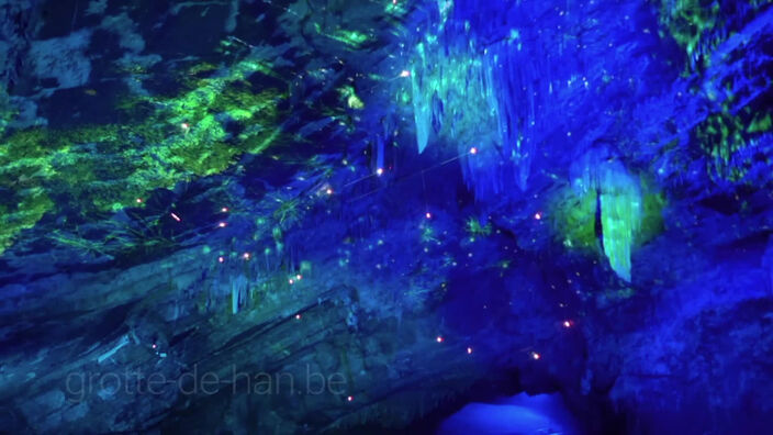 Le JT des Hauts-de-France du 15 juillet 2021