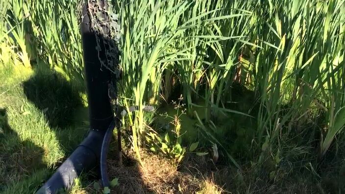 Secheresse : opération de contrôle dans le bassin de l’Yser, placé en alerte renforcée