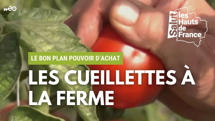 Le bon plan pouvoir d’achat : les cueillettes à la ferme 