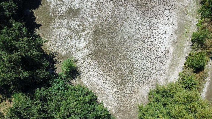  Canicule et sécheresse dans la métropole lilloise, le Nord placé en vigilance jaune