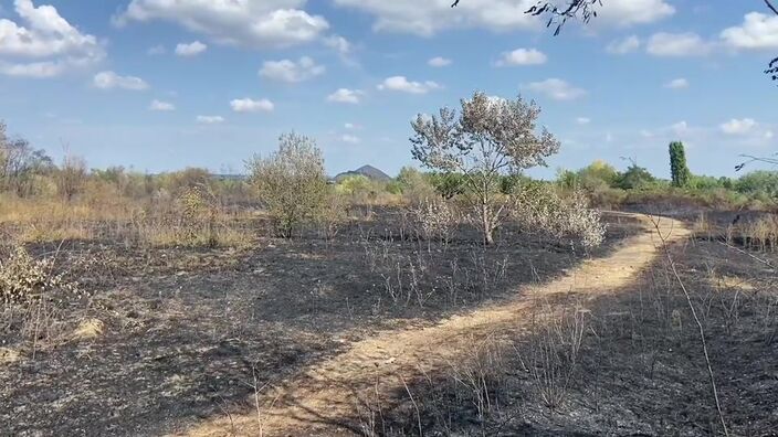 Dix-huit hectares de végétation partent en fumée sur un terril de Montigny-en-Gohelle