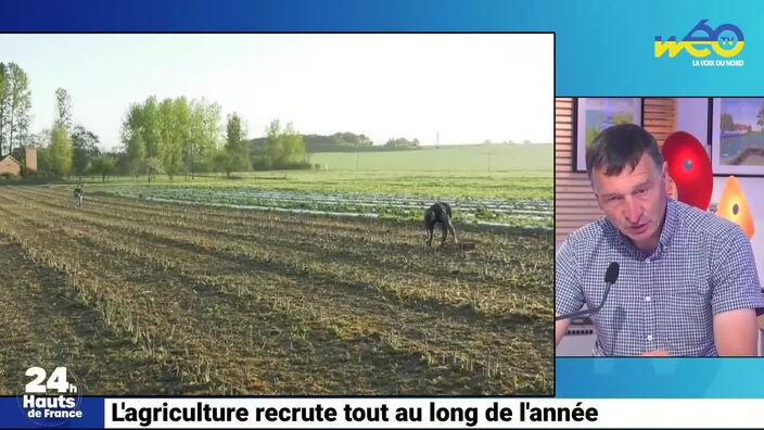 L'agriculture recrute tout au long de l'année