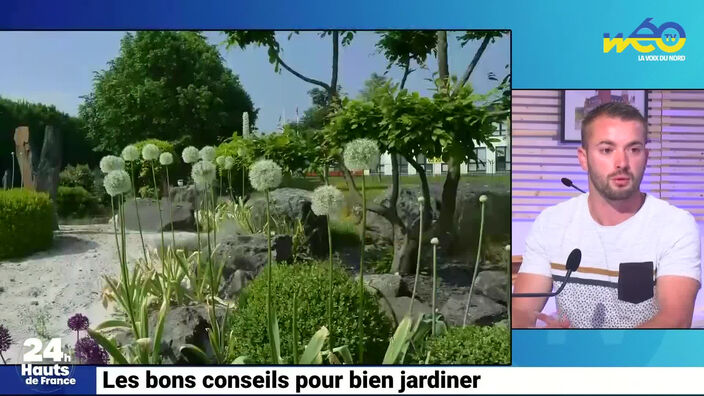 Les bons conseils pour bien jardiner