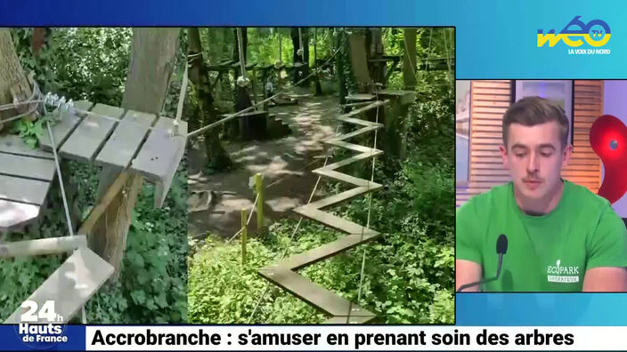 Accrobranche : s’amuser en prenant soin des arbres