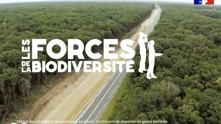 Protéger et restaurer la biodiversité