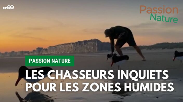 Passion Nature : Les chasseurs inquiets pour les zones humides