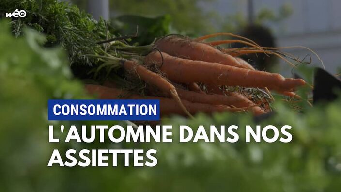 Consommation : Quels produits pour cet automne ?