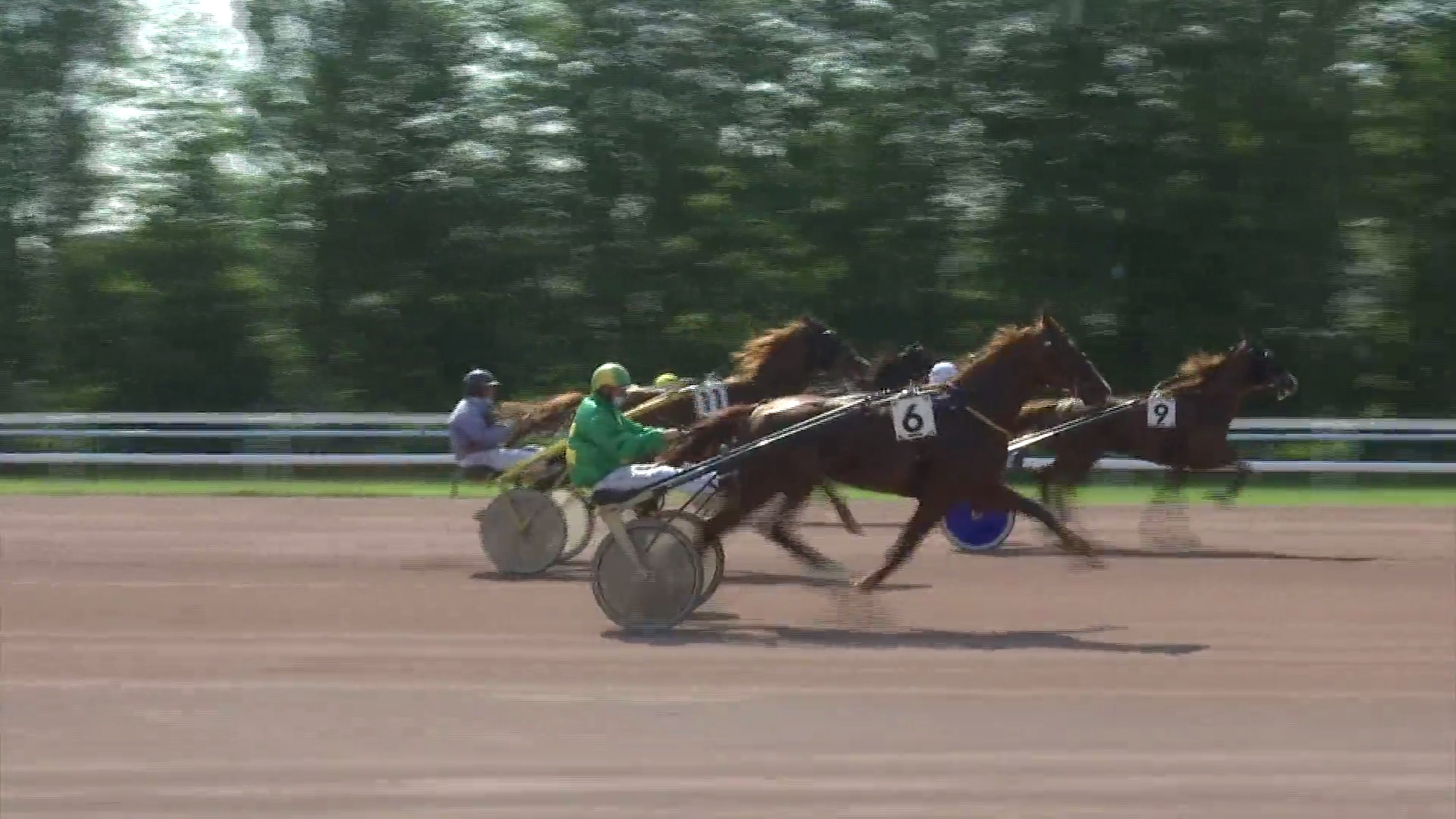 Qualification trotteur on sale