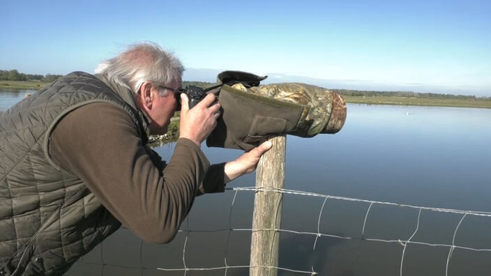 Festival de l'Oiseau et de la Nature : Stage photo en Baie de Somme