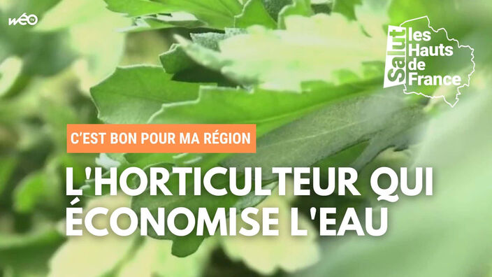 L'horticulteur qui économise l'eau