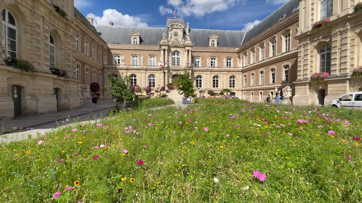 Amiens : la nature s'invite à l'Hôtel de ville