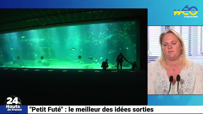 Petit futé : le meilleur des idées sorties