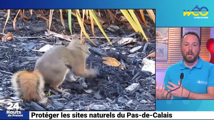 Protéger les sites naturels du Pas-de-Calais