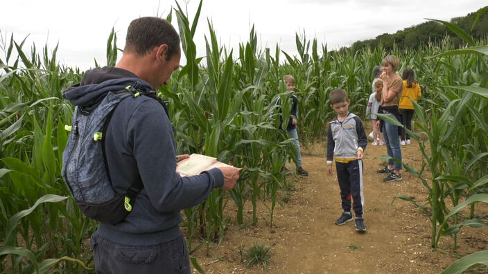 Saint-Fuscien : Un labyrinthe en plein champs de maïs
