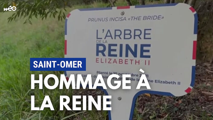 Hommage à la reine à Saint-Omer