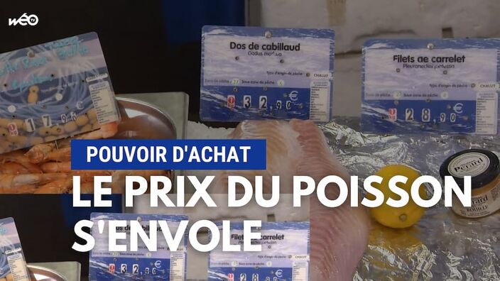 Poisson : les prix atteignent des sommets !