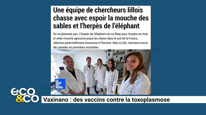 Vaxinano : des vaccins contre la toxoplasmose