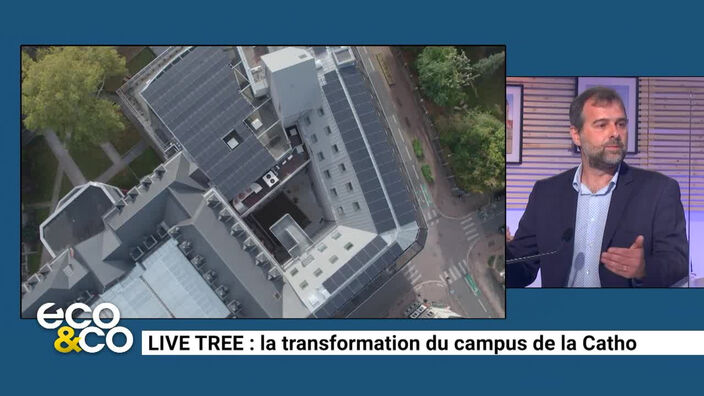 Live Tree : la transformation du campus de la Catho