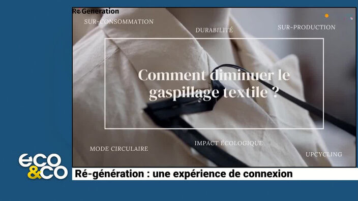 Ré-génération : une expérience de connexion 