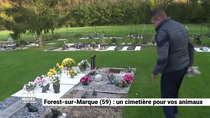 Forest-sur-Marque : un cimetière pour vos animaux