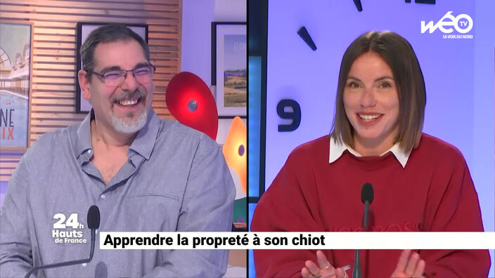 Apprendre la propreté à son chiot