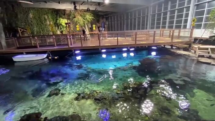 Comment se porte Nausicaá malgré le Covid