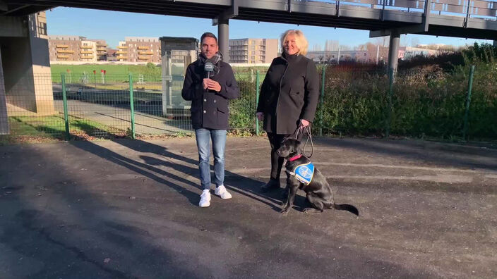 Noham nous fait découvrir les chiens d'aveugles