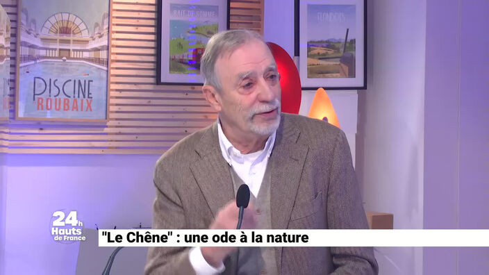 Le chêne, une ode à la nature