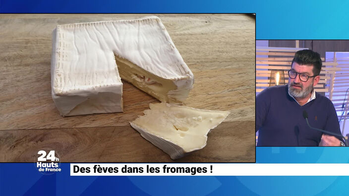 Des fèves dans les fromages