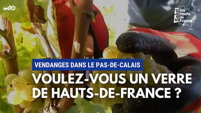 Les Hauts-de-France, future région viticole ?