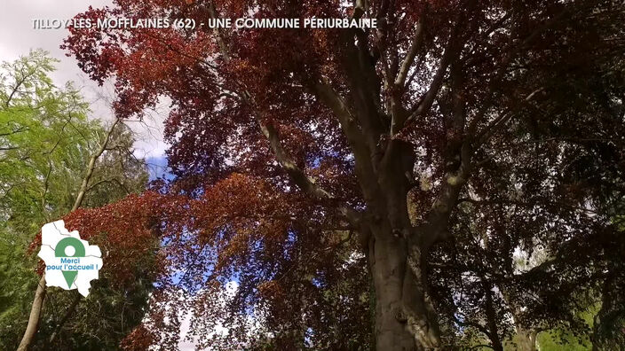 Merci pour l'accueil: Tilloy-les-Mofflaines, une commune périurbaine