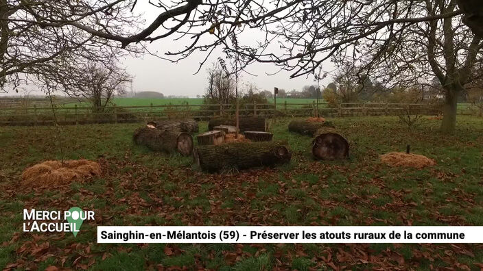 Merci pour l'accueil: Sainghin-en-Mélantois, préserver les atouts ruraux de la commune.