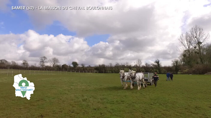 Merci pour l'accueil: La maison du cheval boulonnais à Samer