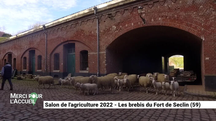 Merci pour l'accueil spécial salon de l'agriculture : La Fort'magerie de Seclin