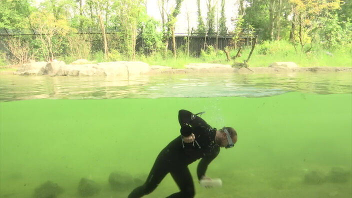 Le Zoo d'Amiens se prépare à rouvrir ses portes au public