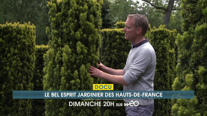 Bientôt sur Wéo - Votre soirée Docus du Dimanche 9 mai