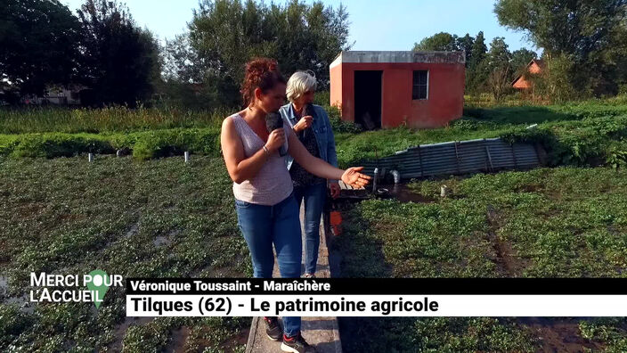 Merci pour l'accueil: Tilques, son patrimoine agricole