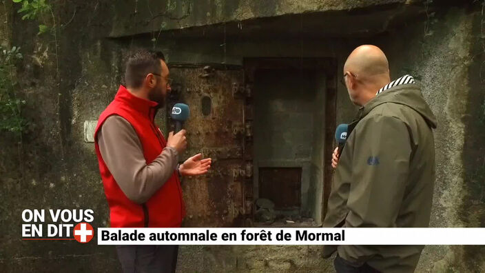 On Vous en Dit + : Balade automnale en forêt de Mormal