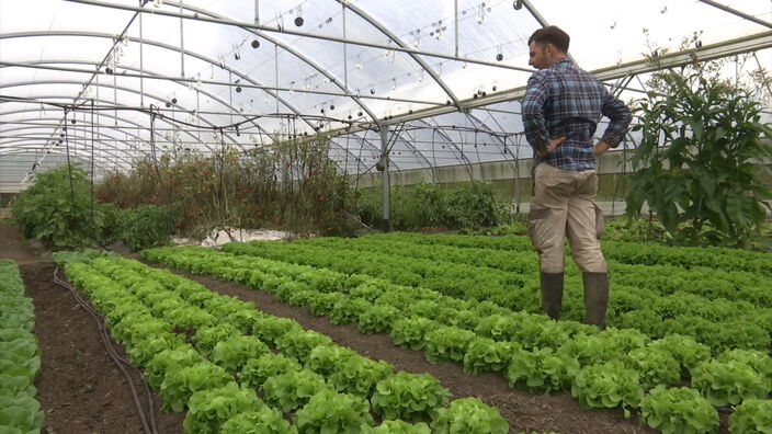 Une ferme urbaine au coeur d'Amiens