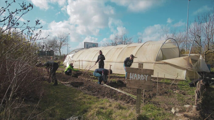 C'est le Nord : Les Cultivateurs de Liens