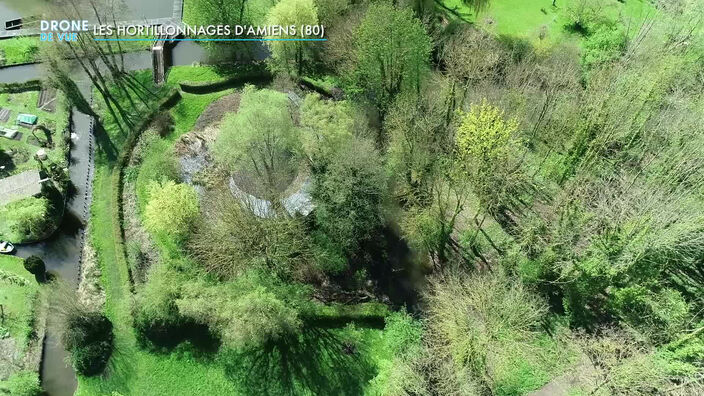 Drone de vue : les hortillonnages d'Amiens