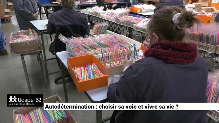 Emission spéciale : Autodétermination : choisir sa voie et vivre sa vie ?