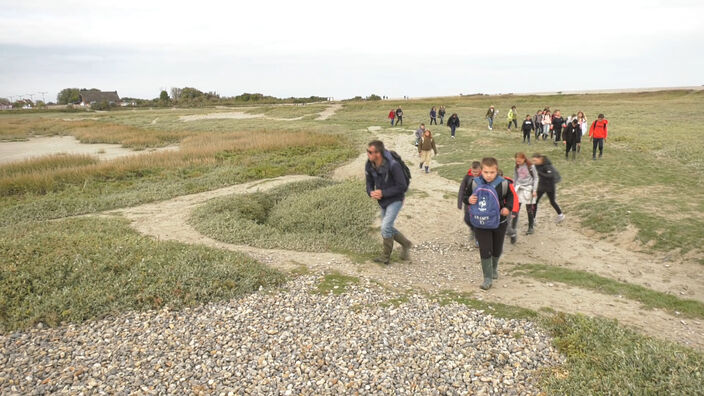 Le hourdel : Les collégiens à la découverte de la baie