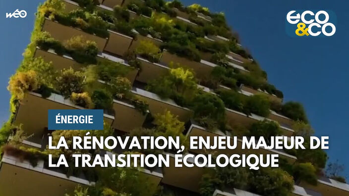 La rénovation, enjeu majeur de la transition écologique