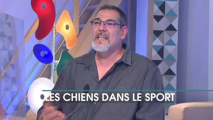 Les chiens dans le sport